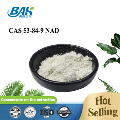 Penjualan Terlaris CAS 53-84-9 Mengurangi Nicotinamide Adenine Dinucleotide NAD