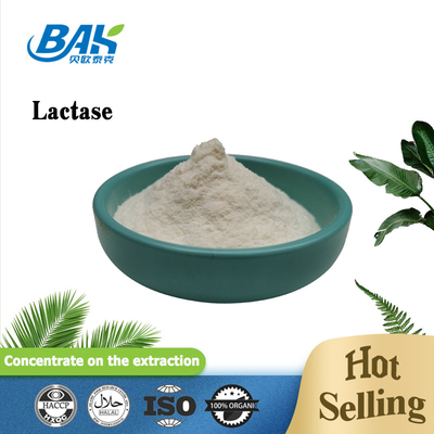 Bubuk laktase kelas makanan Aditif makanan alami 100000 ALU/G