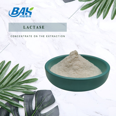 Bubuk laktase kelas makanan Aditif makanan alami 100000 ALU/G