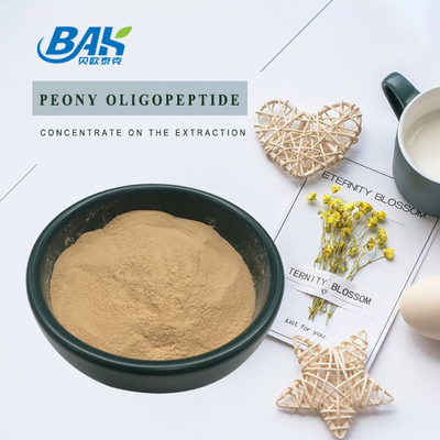 Peony Peptide Protein Putih Putih 98% Antioksidan