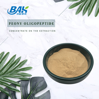 Peony Peptide Protein Putih Putih 98% Antioksidan