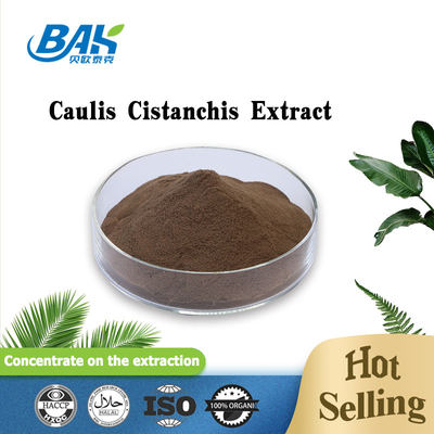 Bahan makanan Caulis Cistanchis Extract Plant Extract Powder