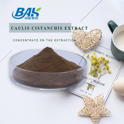 Bahan makanan Caulis Cistanchis Extract Plant Extract Powder