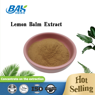 Ekstrak Tanaman Bubuk Ekstrak Lemon Balm