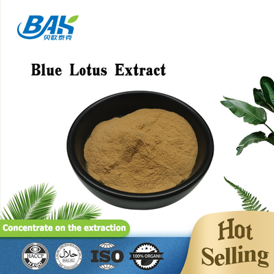 Ekstrak Tanaman Bubuk Ekstrak Blue Lotus