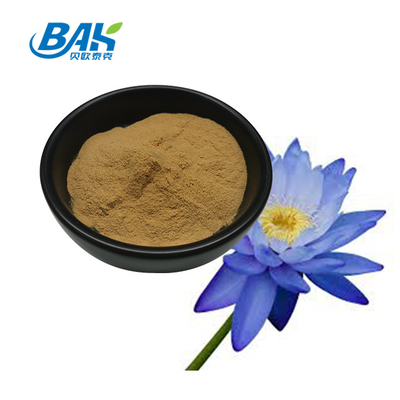 Ekstrak Tanaman Bubuk Ekstrak Blue Lotus