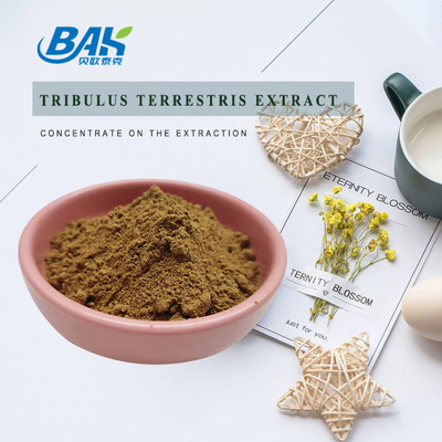 Ekstrak Tribulus Terrestris Bubuk Kuning Coklat