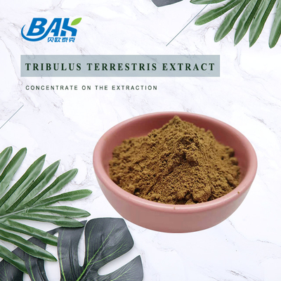 Ekstrak Tribulus Terrestris Bubuk Kuning Coklat