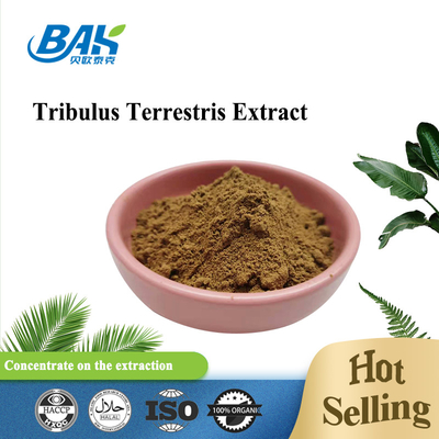 Ekstrak Tribulus Terrestris Bubuk Kuning Coklat