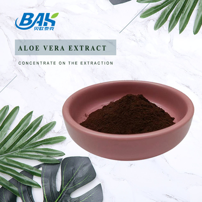 Kelarutan air yang baik Sennosides 20% Senna Leaf Extract Powder Antibakteri