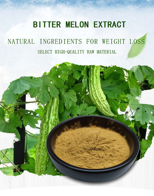 10% Bubuk Suplemen Penurun Berat Badan Bubuk Ekstrak Melon Pare