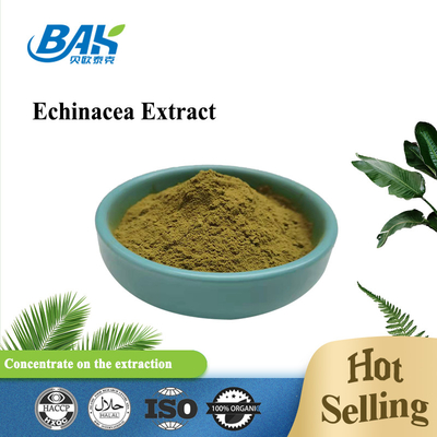 Ekstrak Echinacea Bubuk Kuning Coklat