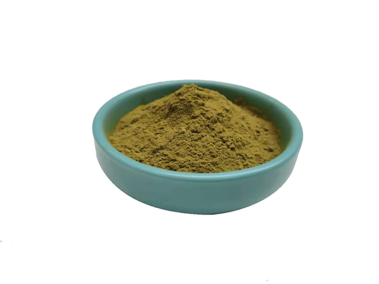 Ekstrak Echinacea Bubuk Kuning Coklat
