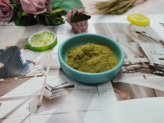 Ekstrak Echinacea Bubuk Kuning Coklat