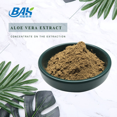 BAK Kualitas Tinggi Pass 80 Mesh Ekstrak Daun Artemisia Argyi Bubuk Coklat Tua Anti Cruor