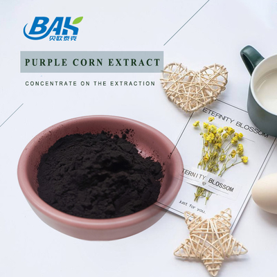 BAK Factory Grosir Antosianin 35% Zea Mays Ungu Ekstrak Jagung Ungu Hitam Bubuk