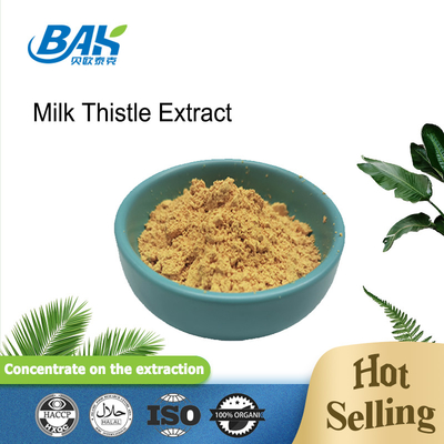 Ekstrak Silymarin Milk Thistle Suplemen Perlindungan Hati Bubuk Kuning Coklat