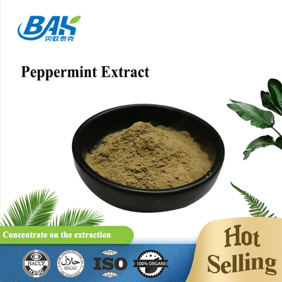 Pabrik Grosir Ekstrak Peppermint Murni Suplemen Peningkatan Kekebalan Mentha Haplocalyx Briq Brown Powder