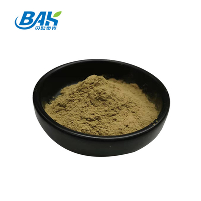 Pabrik Grosir Ekstrak Peppermint Murni Suplemen Peningkatan Kekebalan Mentha Haplocalyx Briq Brown Powder