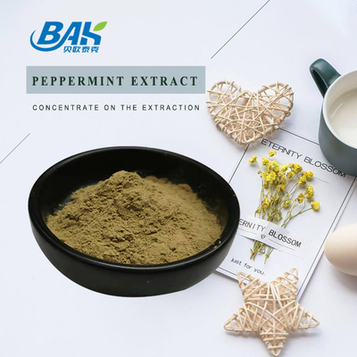 Pabrik Grosir Ekstrak Peppermint Murni Suplemen Peningkatan Kekebalan Mentha Haplocalyx Briq Brown Powder