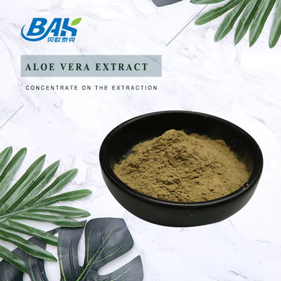 Pabrik Grosir Ekstrak Peppermint Murni Suplemen Peningkatan Kekebalan Mentha Haplocalyx Briq Brown Powder