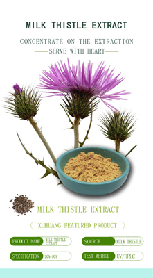 Ekstrak Silymarin Milk Thistle Suplemen Perlindungan Hati Bubuk Kuning Coklat