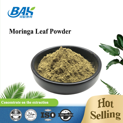 Green Halal Food Grade Organic Moringa Leaf Powder Antibakteri Antidepresan