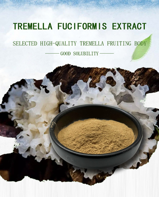 Suplemen Ekstrak Jamur Tremella
