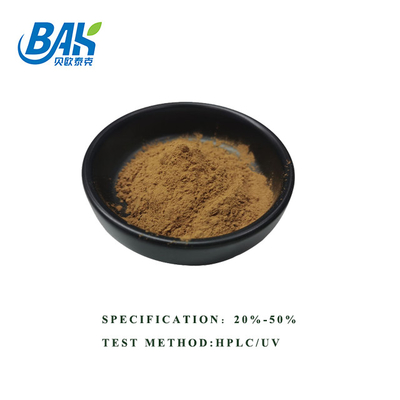 HPLC UV Bacopa Monnieri ekstrak bubuk cokelat kuning 100% Pass 80 Mesh