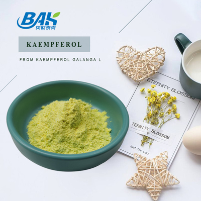 Cas 520-18-3 Suplemen Peningkat Kekebalan Tubuh Bubuk Kaempferol 50% 90% 98%