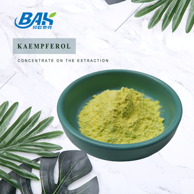 BAK Kualitas Tinggi Cas 520-18-3 Suplemen Peningkatan Kekebalan Kaempferol Powder 50% 90% 98%