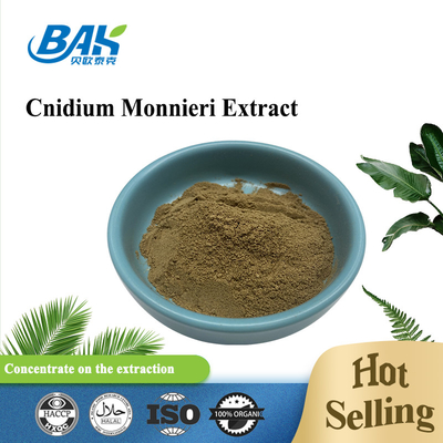 Osthole Cnidium Fruit Fructus Cnidii Ekstrak Bubuk 10% -98%