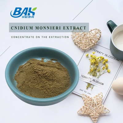 Osthole Cnidium Fruit Fructus Cnidii Ekstrak Bubuk 10% -98%