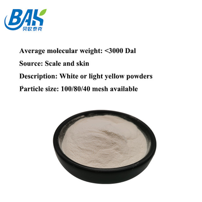 CAS 9064-67-9 Fish Collagen Peptide Powder Bahan Baku Kosmetik