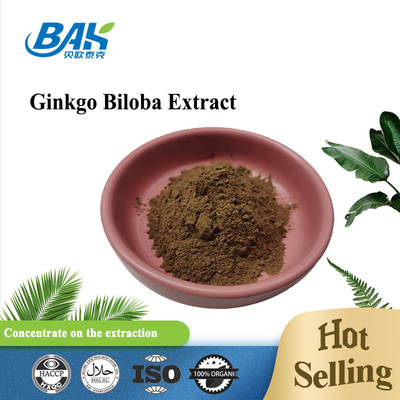 Ekstrak Ginkgo Biloba Flavon Glycosides 24% Dan Terpene Lactones 6%