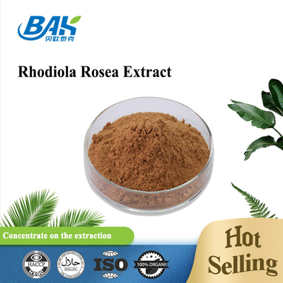 Suplemen Kesehatan Pria Organik Rosavin 1% -10% Rhodiola Rosea L Ekstrak Bubuk Coklat Merah