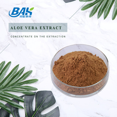 Suplemen Kesehatan Pria Organik Rosavin 1% -10% Rhodiola Rosea L Ekstrak Bubuk Coklat Merah