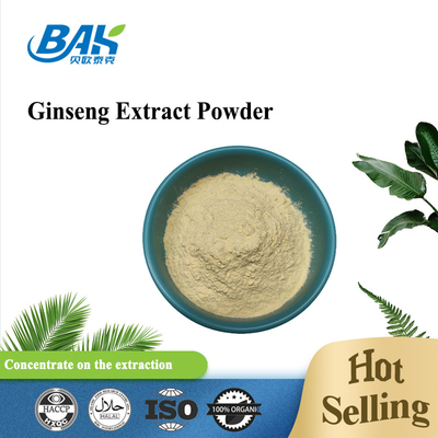 Pabrik Grosir 98% Suplemen Kesehatan Pria Ginsenosides Ginseng Extract Powder