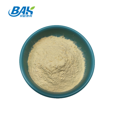 Pabrik Grosir 98% Suplemen Kesehatan Pria Ginsenosides Ginseng Extract Powder