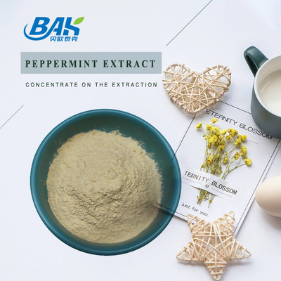 Pabrik Grosir 98% Suplemen Kesehatan Pria Ginsenosides Ginseng Extract Powder
