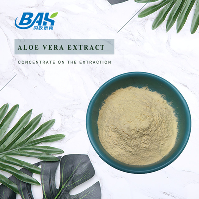 Pabrik Grosir 98% Suplemen Kesehatan Pria Ginsenosides Ginseng Extract Powder