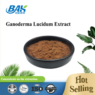Suplemen Kesehatan Pria Ekstrak Polisakarida 30% Ganoderma Lucidum