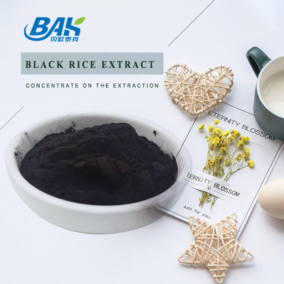 Ekstrak Beras Hitam Antosianidin 25% Bubuk Ungu Hitam
