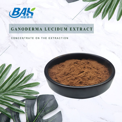 Suplemen Kesehatan Pria Ekstrak Polisakarida 30% Ganoderma Lucidum