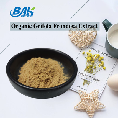 Ekstrak Grifola Frondosa Organik Beta Glukan 70% Ekstrak Jamur Suplemen Serbuk UV VIS