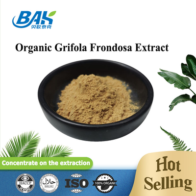 Ekstrak Grifola Frondosa Organik Beta Glukan 70% Ekstrak Jamur Suplemen Serbuk UV VIS