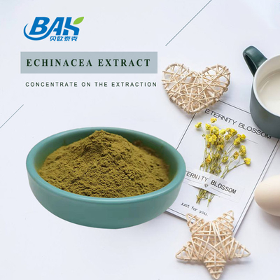 Ekstrak Echinacea Bubuk Kuning Coklat