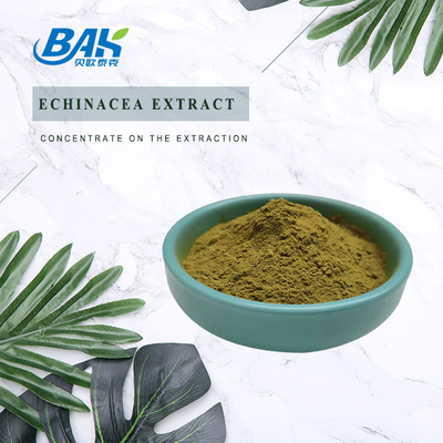 Ekstrak Echinacea Bubuk Kuning Coklat