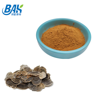 10% -50% Suplemen Ekstrak Jamur Coriolous Versicolor Bubuk Kuning Coklat