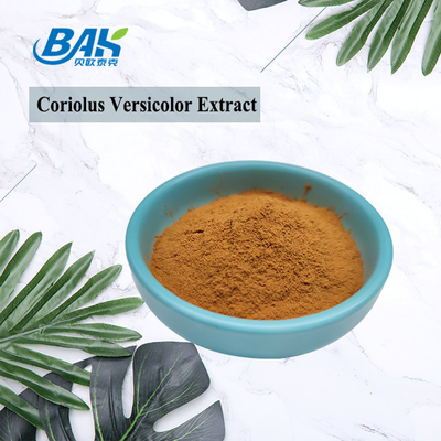 Ekstrak Jamur Coriolus Versicolor Organik Suplemen Brown Yellow Powder